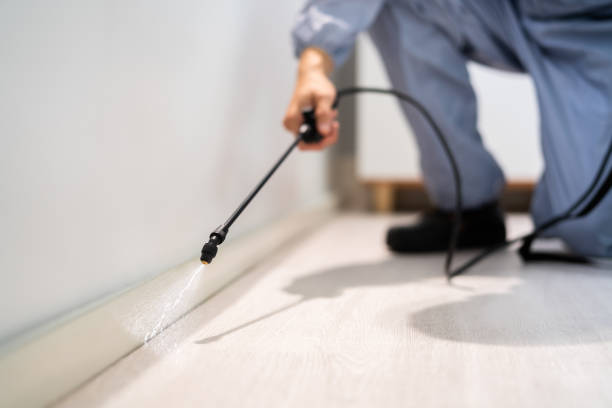 Licensed Termite Control service in Santa Barbara County County, CA - Nex Pest Control